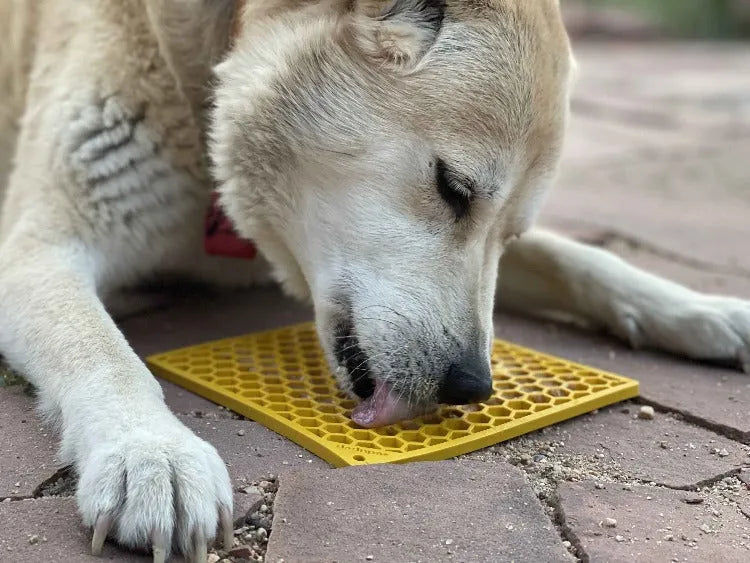 SodaPup/True Dogs, LLC - Honeycomb eMat - Enrichment Lick Mat for Dogs and Cats | - Pet Bowls & Feeders