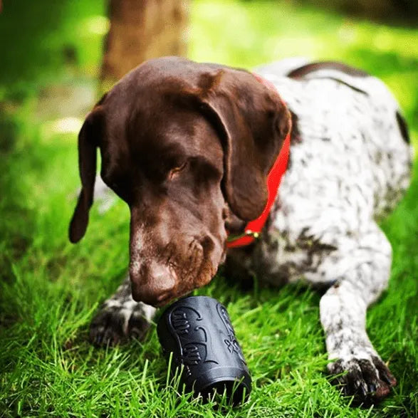 SodaPup/True Dogs, LLC - Magnum Can Toy Rubber Dog Chew Toy for Extreme  Chewers | - Dog Toys