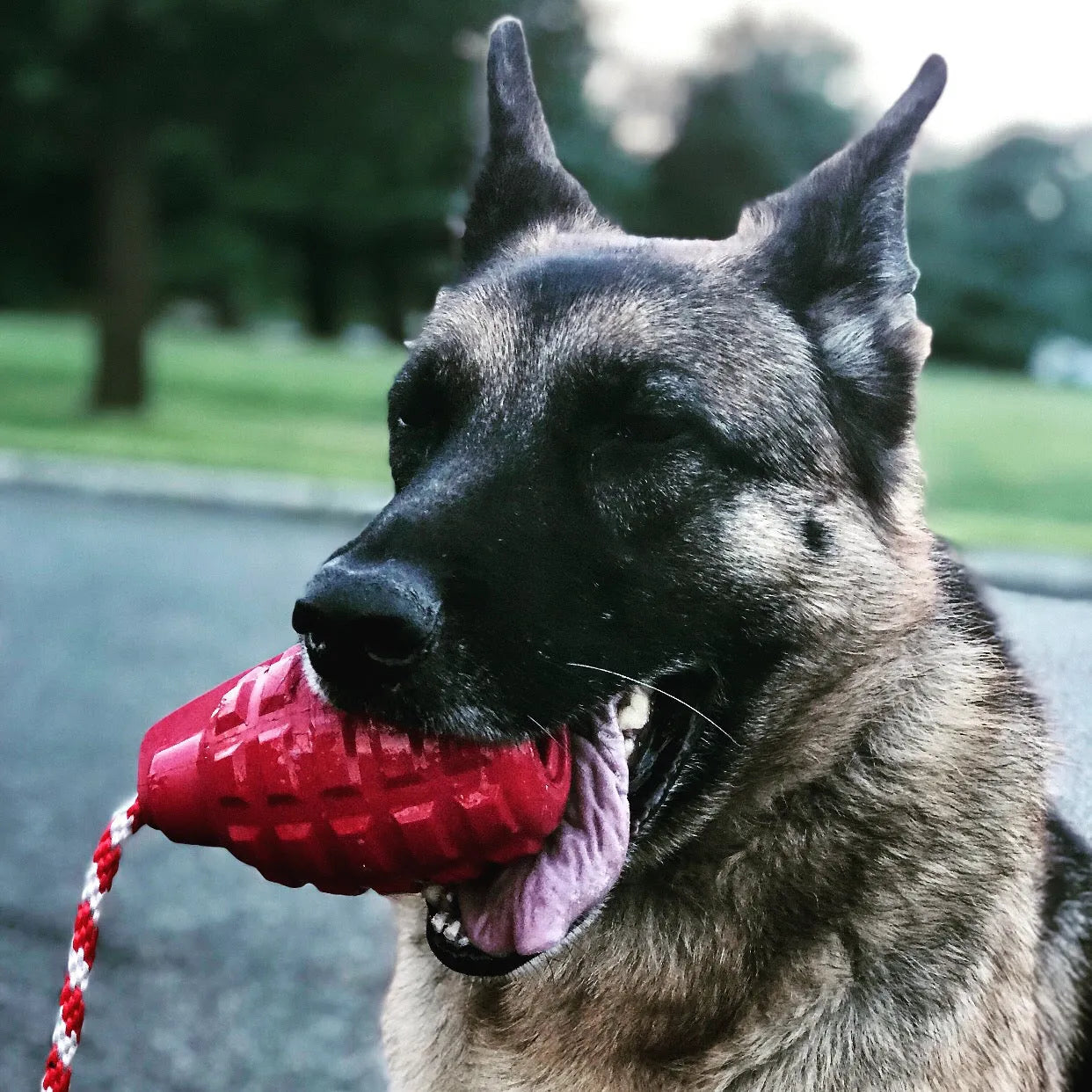 SodaPup/True Dogs, LLC - USA-K9 Grenade Rubber Dog Chew Toy | K9 Handler Reward Toy | Blue | USA Made - Dog Ball