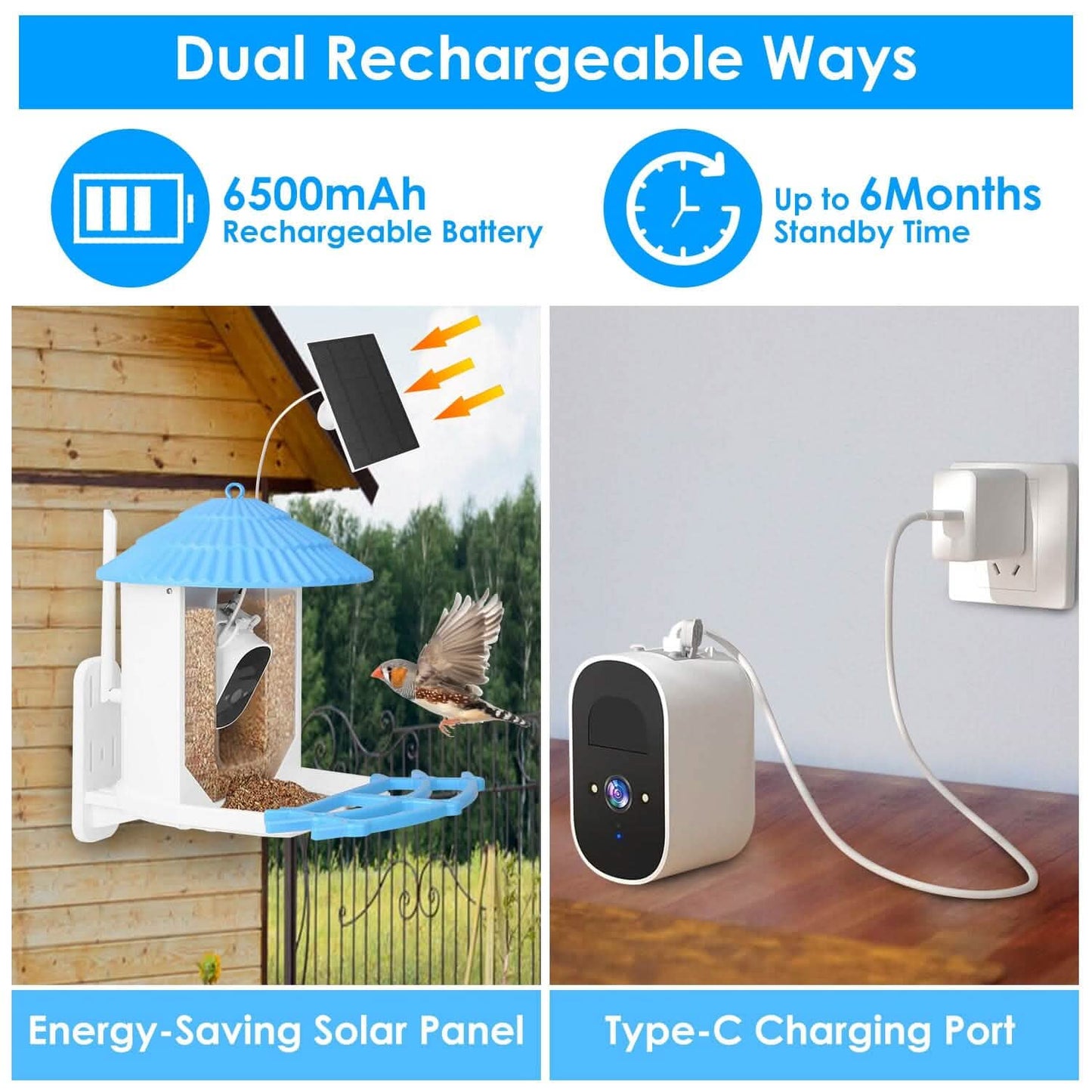 Solar Powered Smart Bird Feeder with PIR Motion AI Two-Way Audio