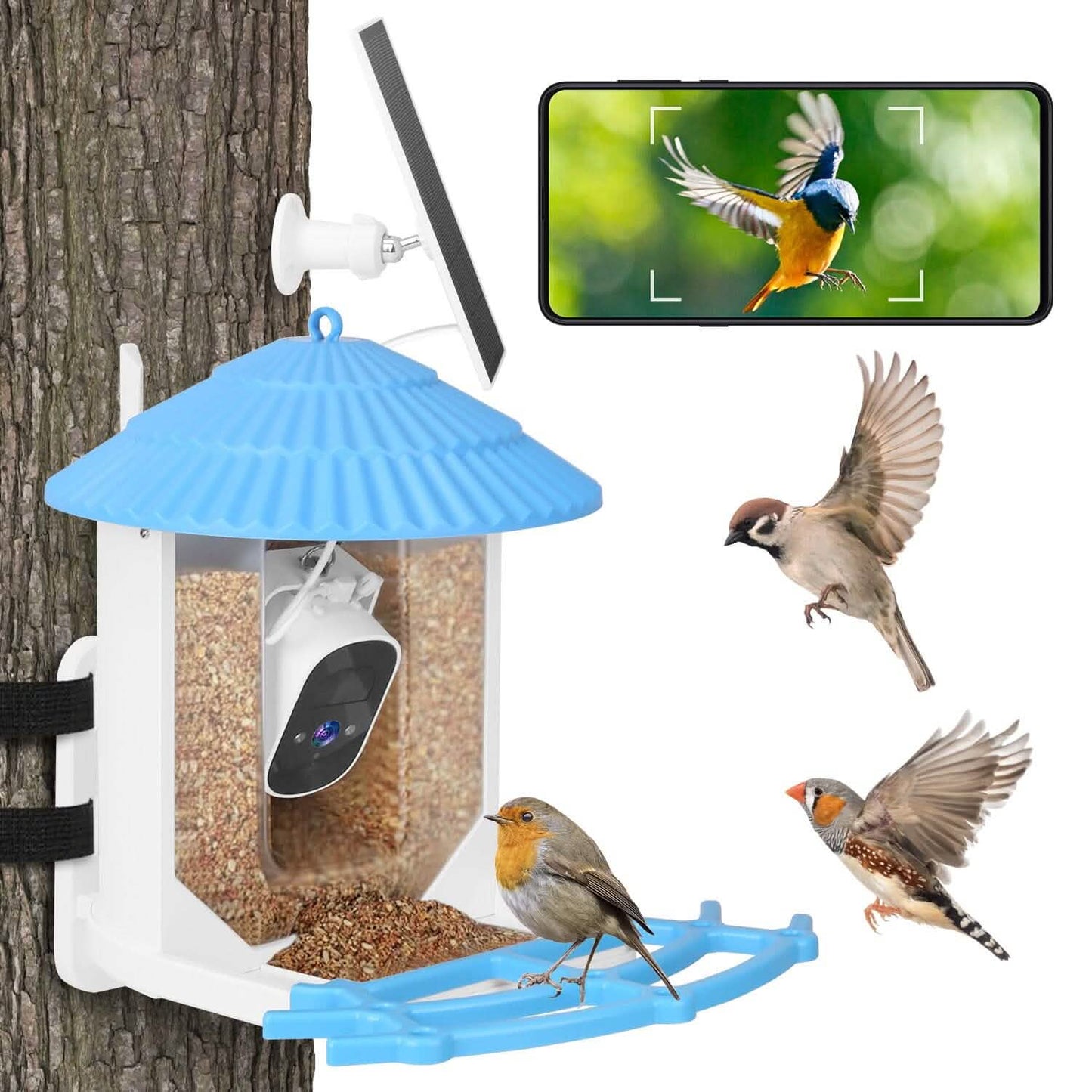 Solar Powered Smart Bird Feeder with PIR Motion AI Two-Way Audio