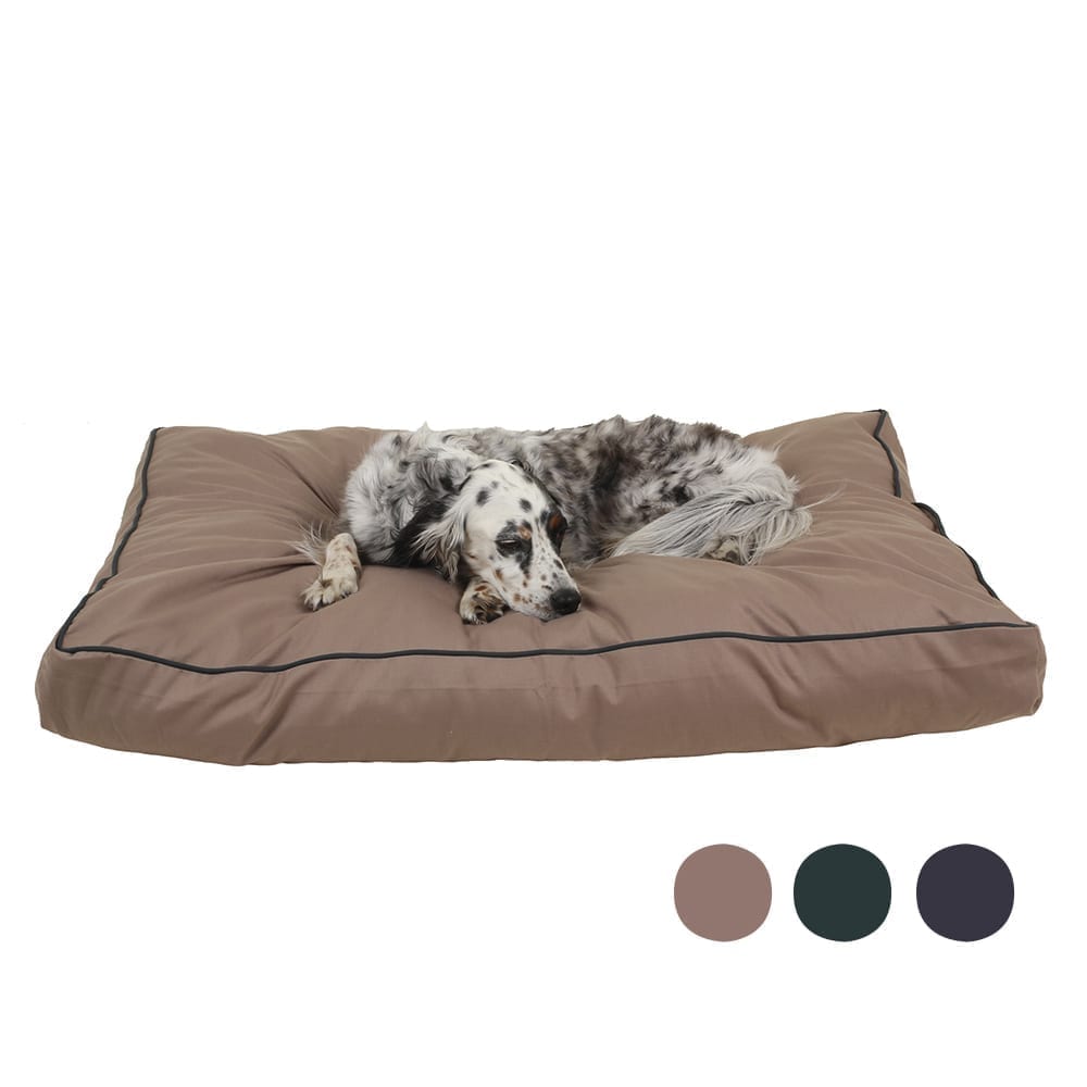 Solid Jamison Rectangle Indoor Outdoor Dog Bed