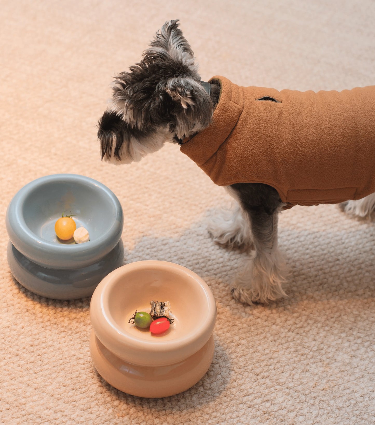 Cream beige Soufflé Pet Bowl by pehomnyc, perfect for stylish pet dining. Ideal for small to medium pets.
