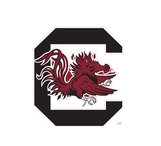 Dog Toy NCAA University of South Carolina Cocky Knottie - close up product image for dog toy