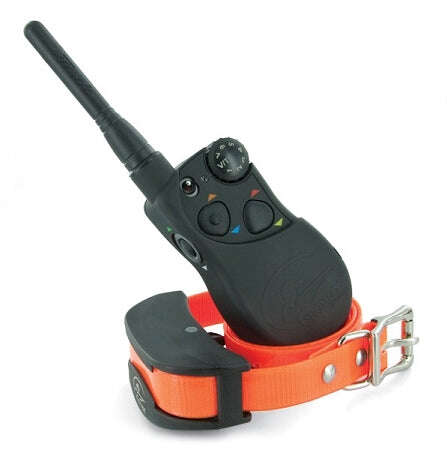 SportDog e-collar for multiple dogs with adjustable training remote and durable orange collar