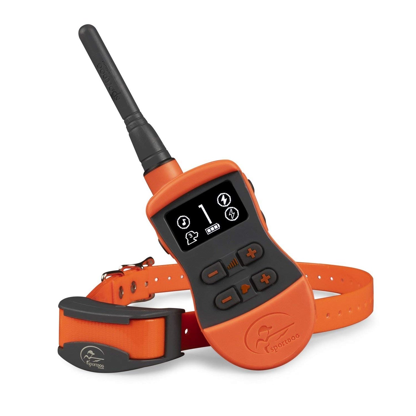 SportDOG SD-875E e-collar for pets featuring a remote control and adjustable collar for effective training
