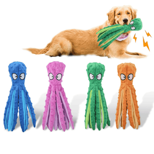 Purrfect Pet Kingdom Squeaky Chew Toy for Dogs Purrfect Pet Kingdom