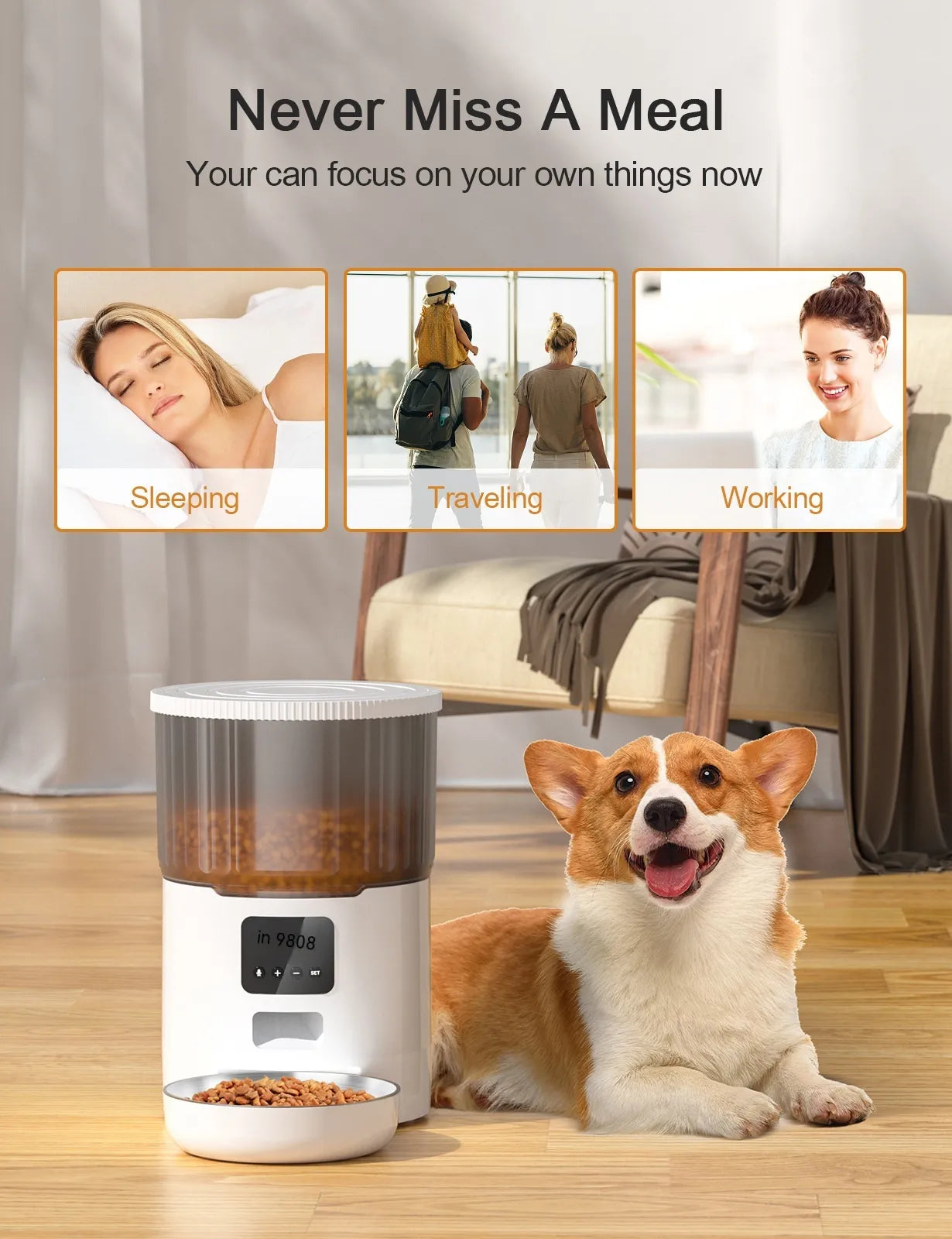 Royal Smart Automatic Pet Feeder Programmable Voice 👑