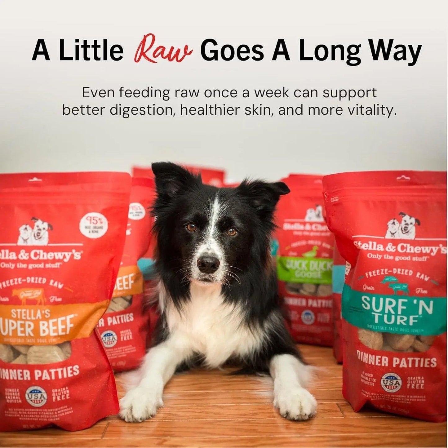 K9 Outdoors freeze dried raw dog food beef patties with a dog sitting among bags for healthy pet nutrition