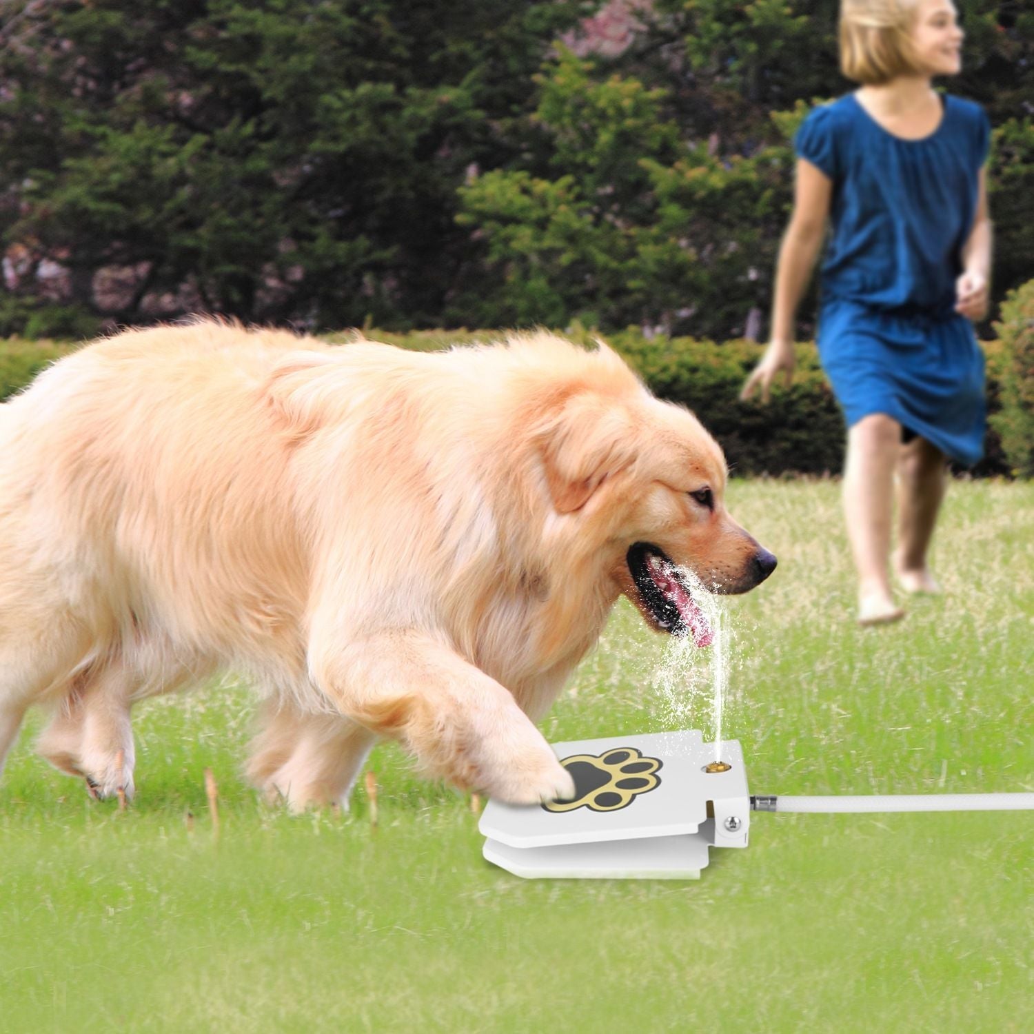 Mercantile Mountain step-on dog water dispenser for convenient outdoor hydration for pets