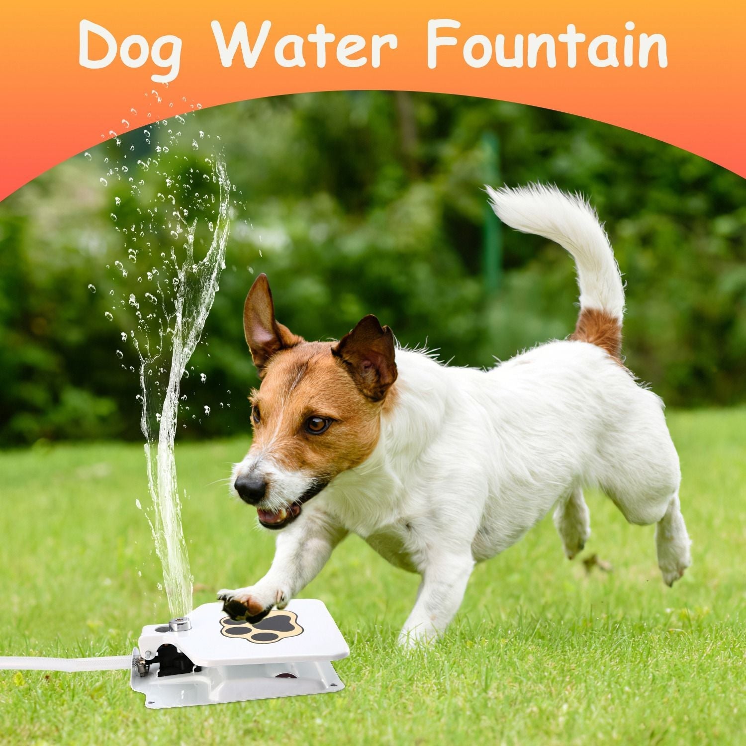 Mercantile Mountain step-on dog water dispenser fountain with playful dog enjoying fresh water outdoors