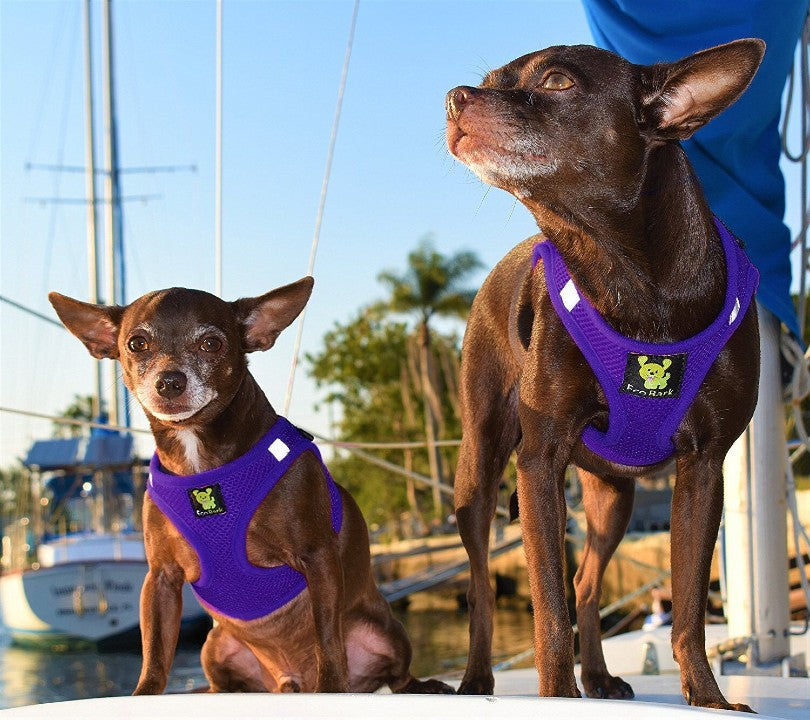 Dog Harness EcoBark Step In Harness XXXS to Small Breeds- - gallery product image for dog harness