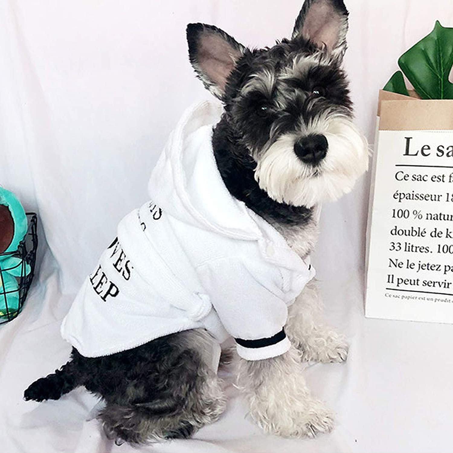 Adorable dog wearing a cozy white dog hooded bathrobe for drying after baths