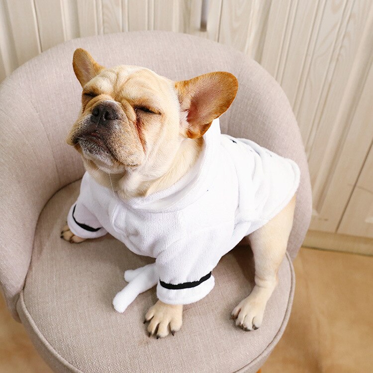 Cute dog in a white dog hooded bathrobe sitting comfortably on a chair