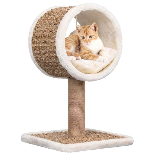 Stylish cat tree with scratching post featuring a cozy round bed and sisal-covered base by Purrfect Pet Kingdom