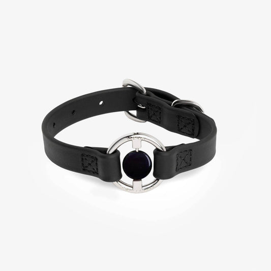 Purrfect Pet Kingdom Dog Healing Collar - Stylish Recovery Collar for Dogs Medium Black Purrfect Pet Kingdom