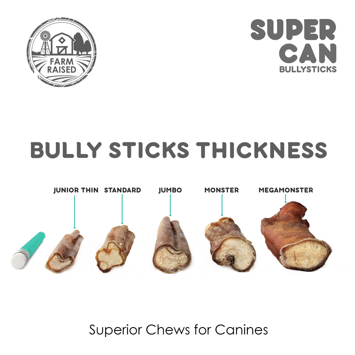 SuperCan Bully Sticks showing thickness options: Junior Thin, Standard, Jumbo, Monster, Megamonster for dog bully sticks