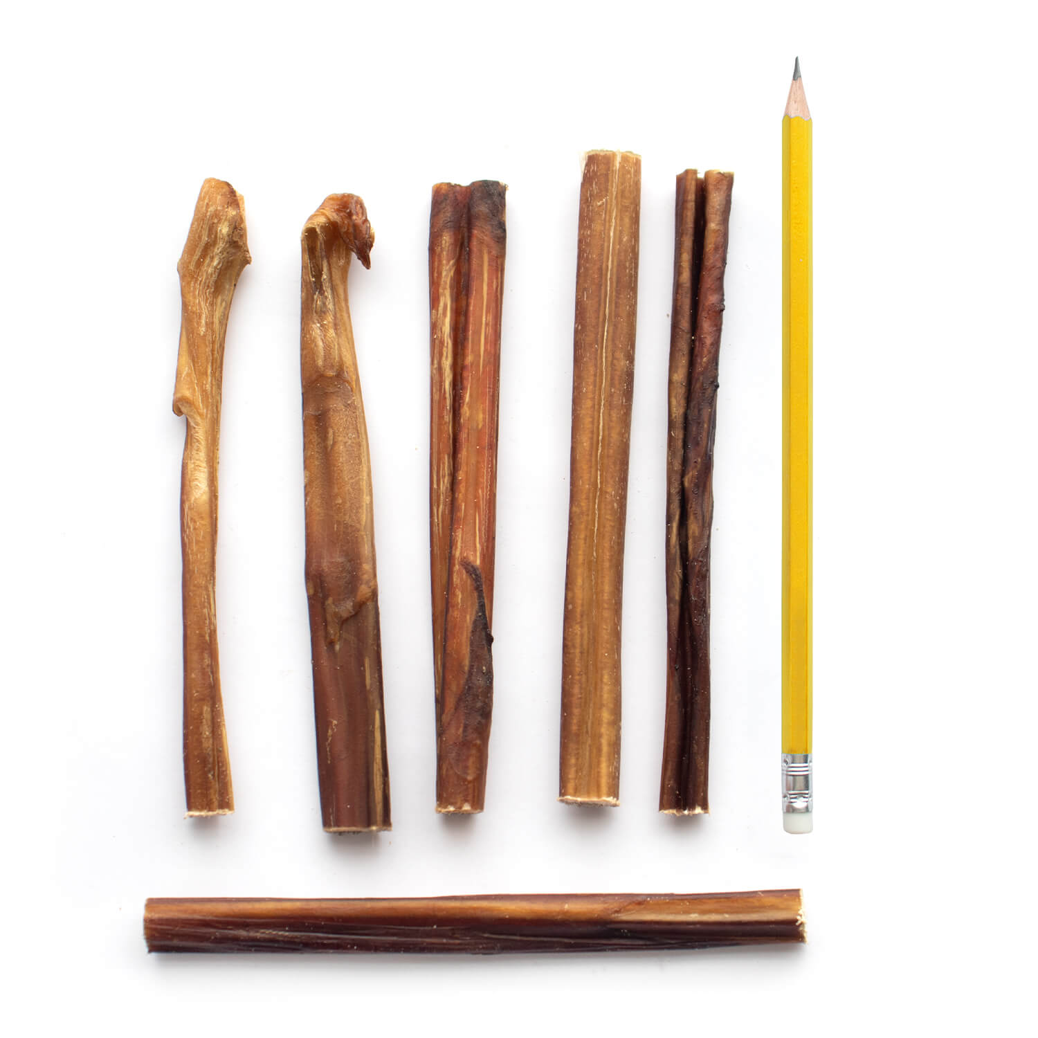 Natural dog bully sticks from Purrfect Pet Kingdom next to a pencil for size reference