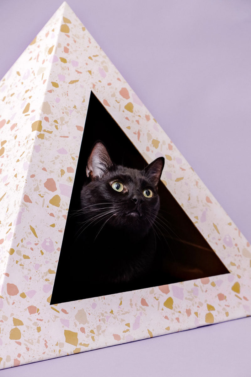 Sustainable cat furniture pyramid from KittyKardboard with a black cat peeking out of the triangular opening