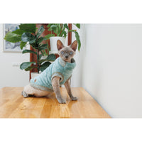 Pet sweater for cat