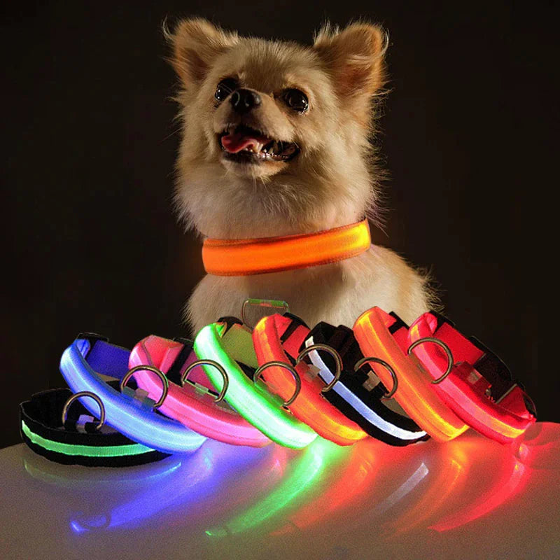 Royal Luminous Safety Pet Collar Adjustable LED Night Visibility 💡👑