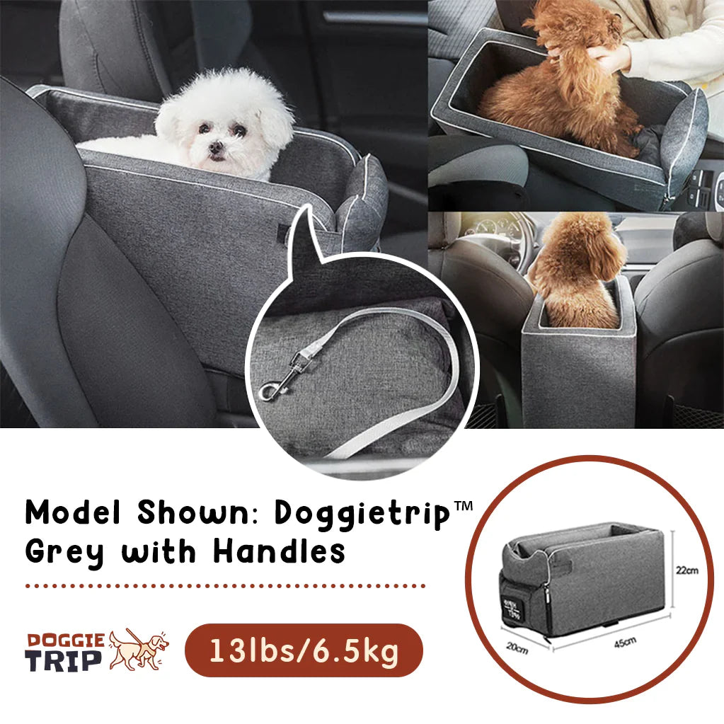 Safety Car Seat For Small Pets - Car Crates - Mimarta