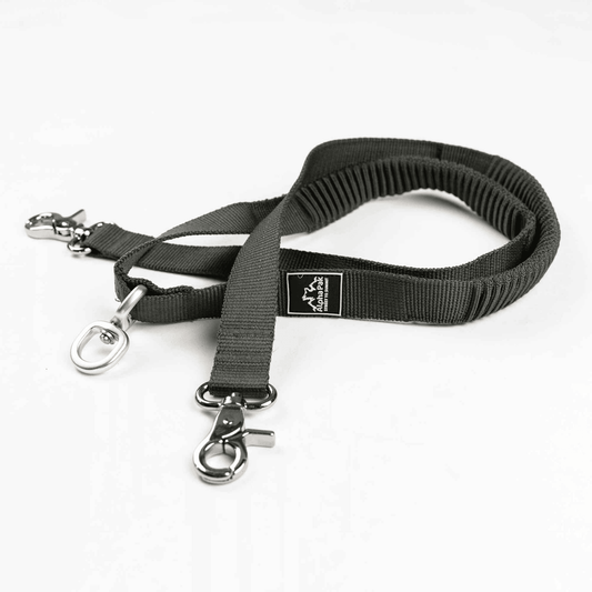Purrfect Pet Kingdom Tangle Free Dog Leash Attachment Purrfect Pet Kingdom