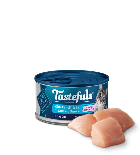 Blue Buffalo Tastefuls Adult Morsels Chicken Entree Wet Cat Cans - Blue Buffalo Wet Cat Food - The Family Pet