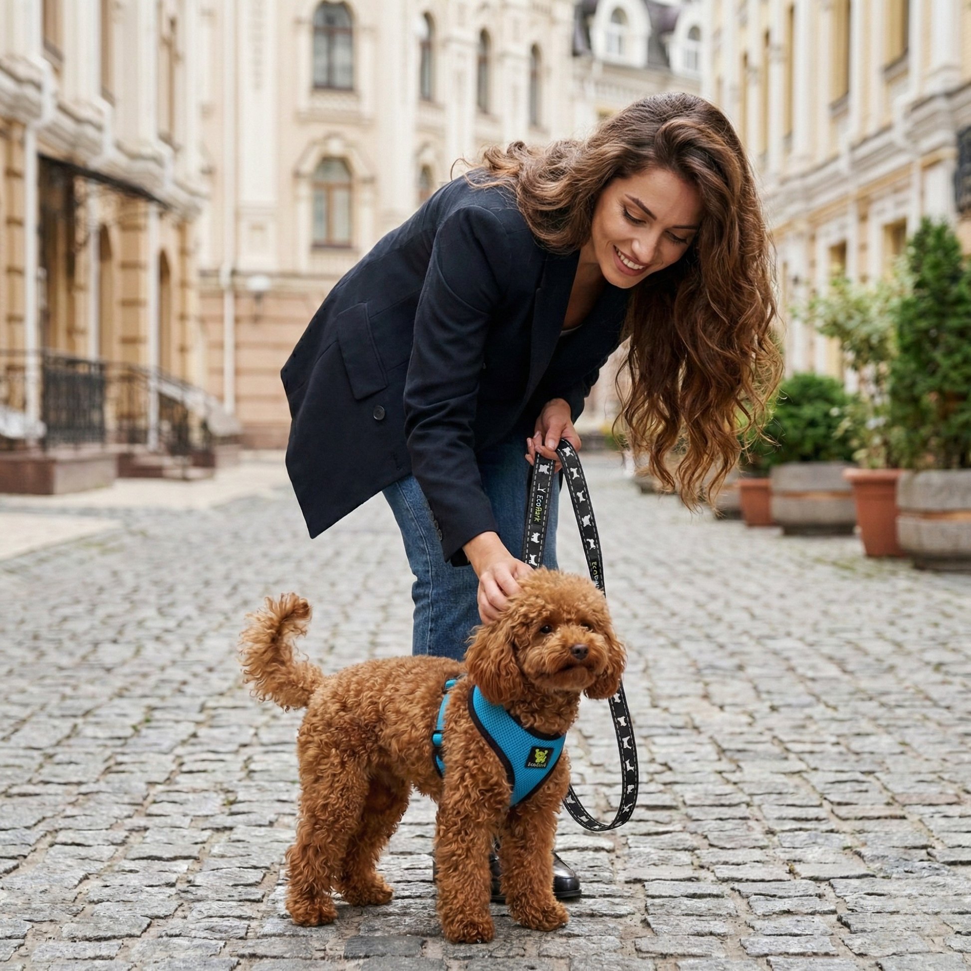Dog Harness EcoBark Teal Harness Over-the-Head Soft Mesh - lifestyle product image for dog harness