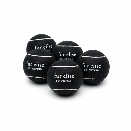 So Fetch! Tennis Ball Pack of 5 - Noire