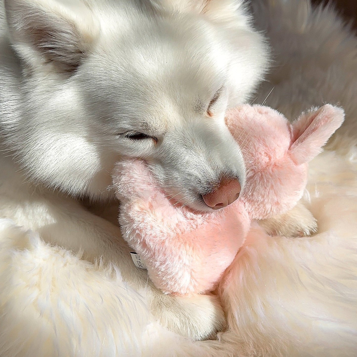 Ruby Plushie Set - Pet Toy - Elise Galleria