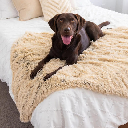 The Family Pet - Best Friends by Sheri Blanket Shag Taupe 40x50 - Dog Blanket