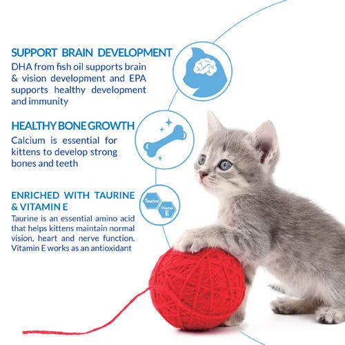 Purrfect Pet Kingdom Gourmet Inaba Churu For Kitten Chicken Recipe (2oz) For Kittens - View 8 showing detail