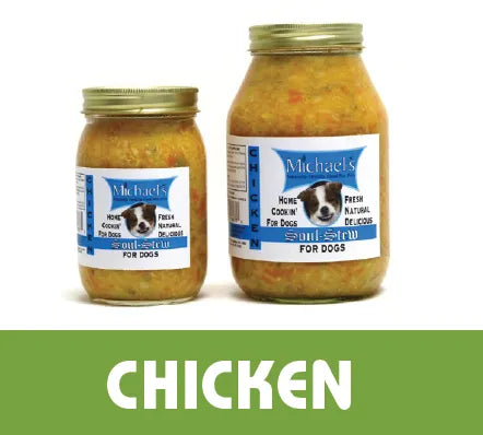Wet dog food can of The Family Pet Michael's Chicken Stew, 12.5oz, budget-friendly, new arrival, under $10.
