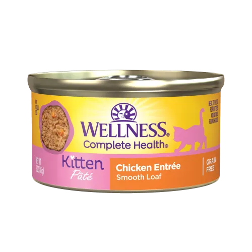The Family Pet - Wellness Complete Health Kitten Chicken Pate Wet Cat Food - Wet Cat Food