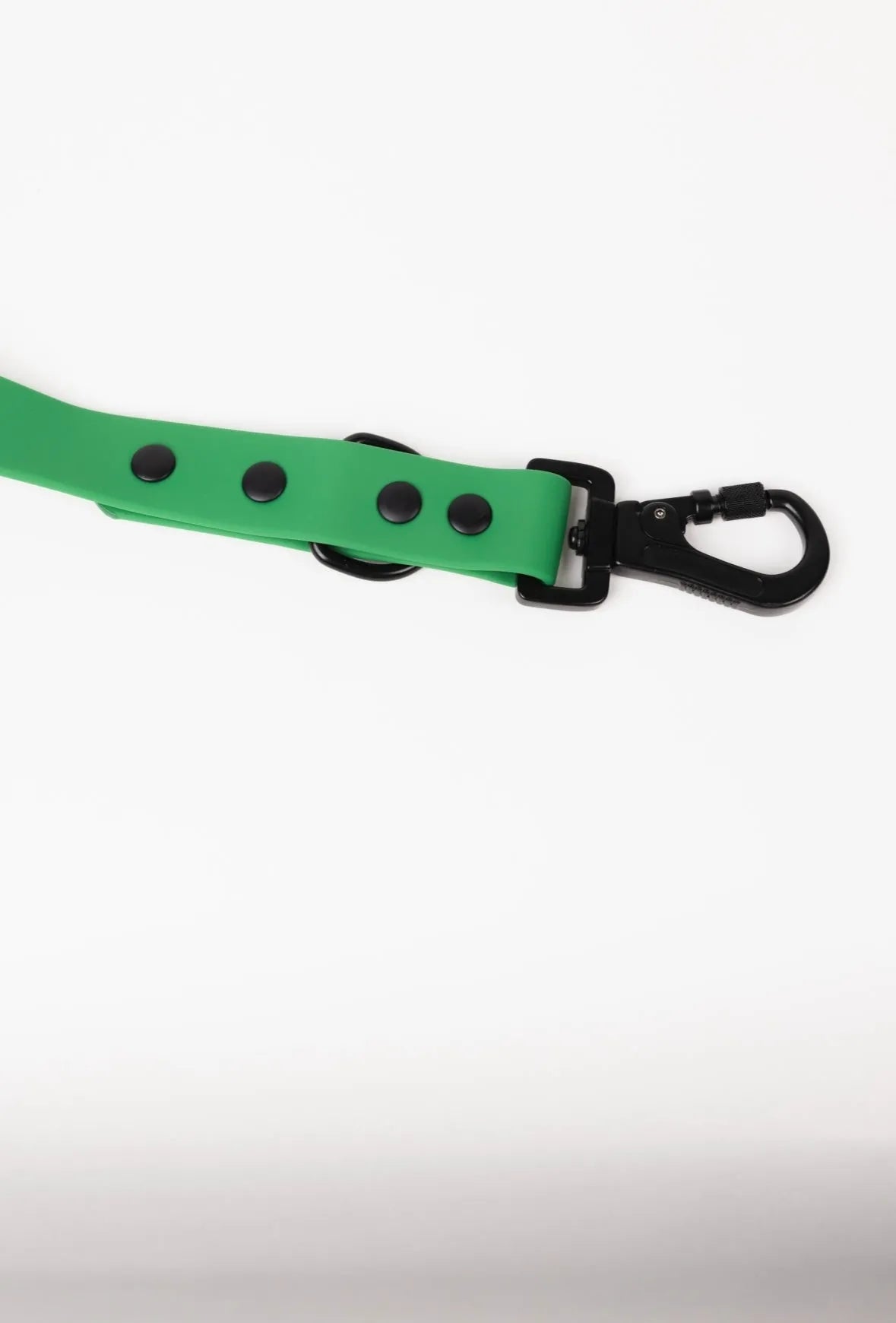 Clover Green Leash by The Modern Dog Company, available in standard size for stylish dog walks.