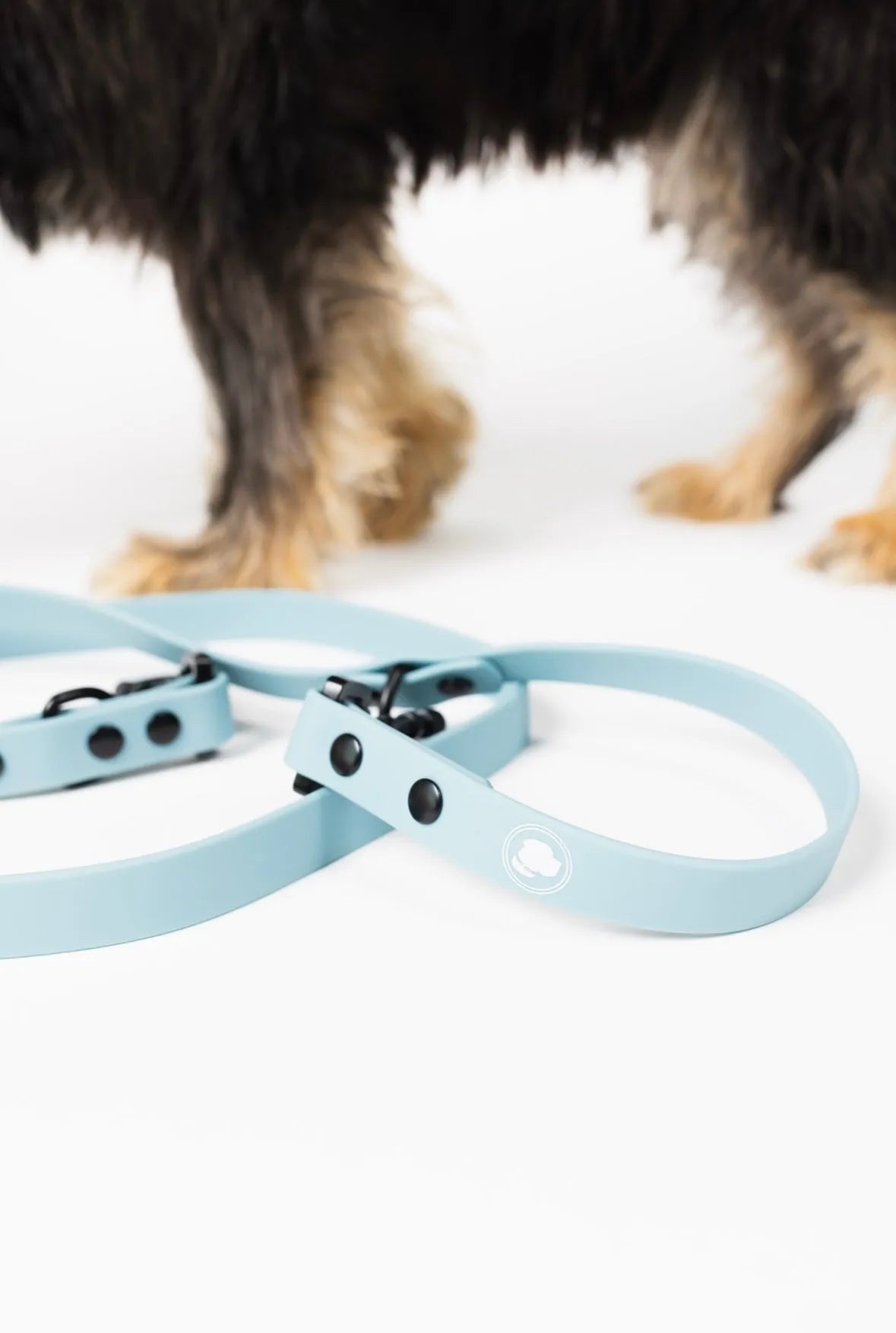 Dusty Blue Adjustable Leash by The Modern Dog Company, available in Standard and Large sizes, perfect for stylish dog walks.