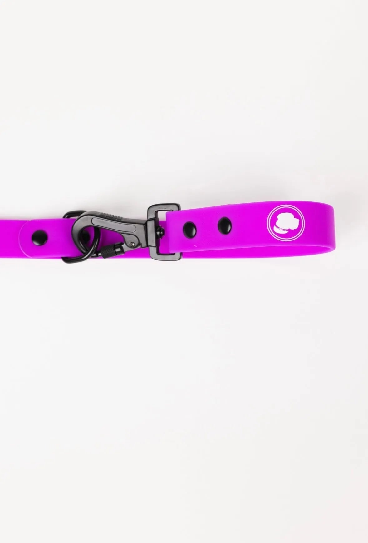 Electric Fuchsia Leash by The Modern Dog Company, available in Standard size for $29.99, perfect for stylish dog walks.