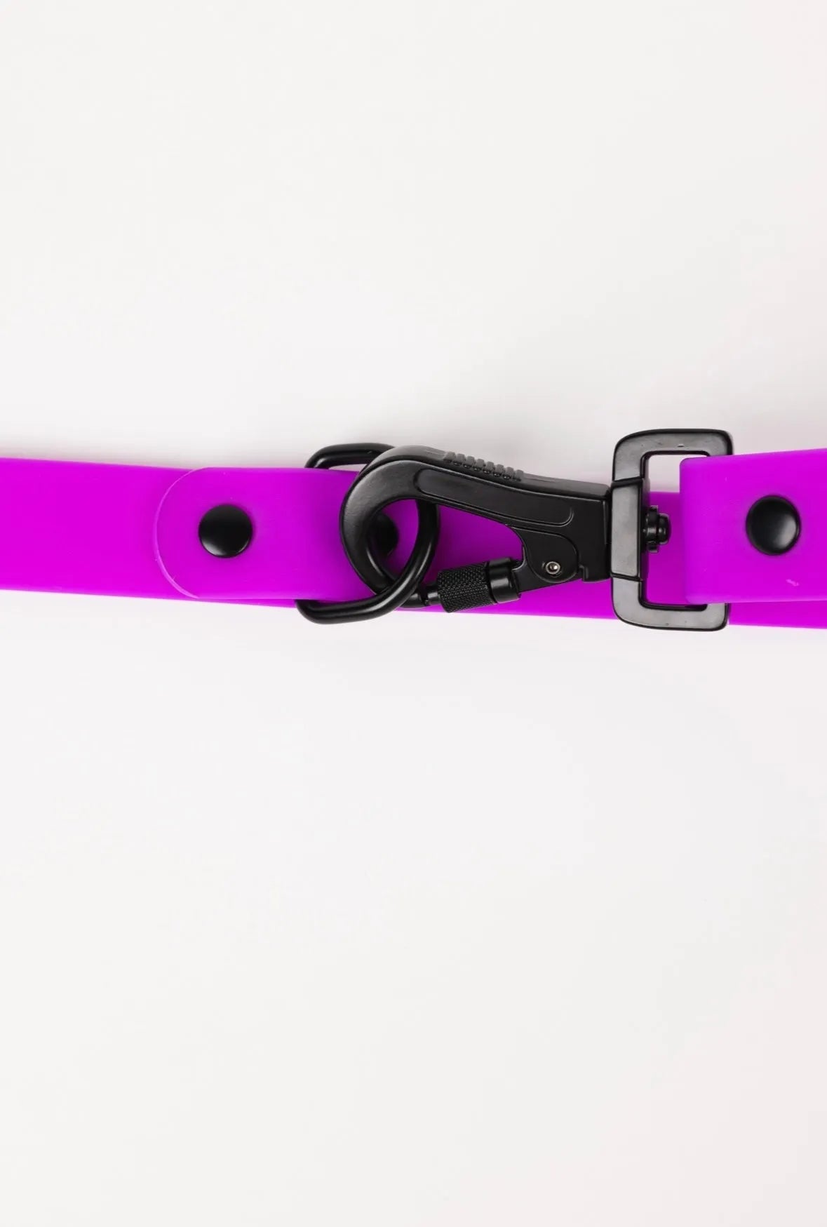 Electric fuchsia dog leash from The Modern Dog Company, available in standard size for $29.99, perfect for stylish pet walks.