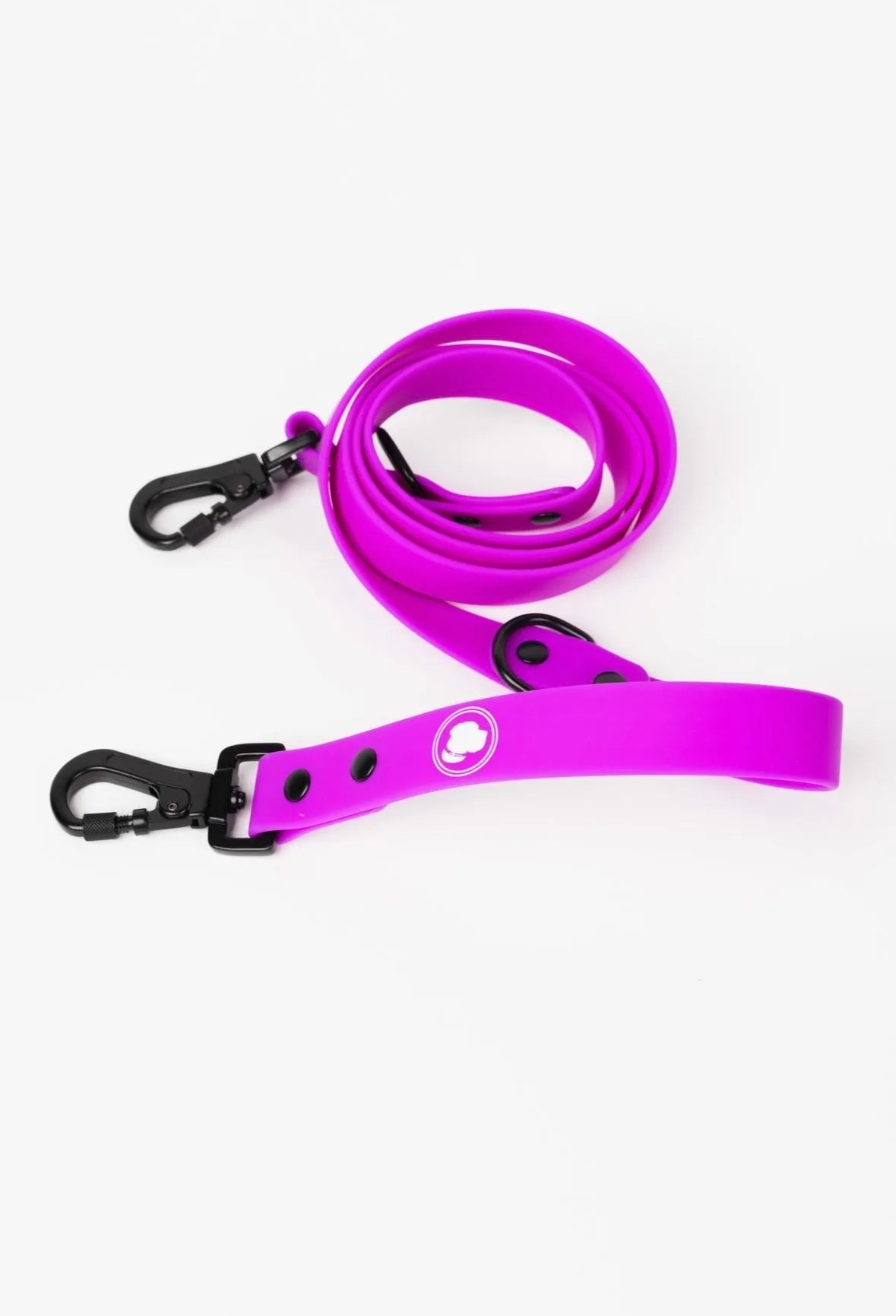 Electric Fuchsia Leash by The Modern Dog Company, available in Standard size for $29.99, perfect for stylish dog walks.