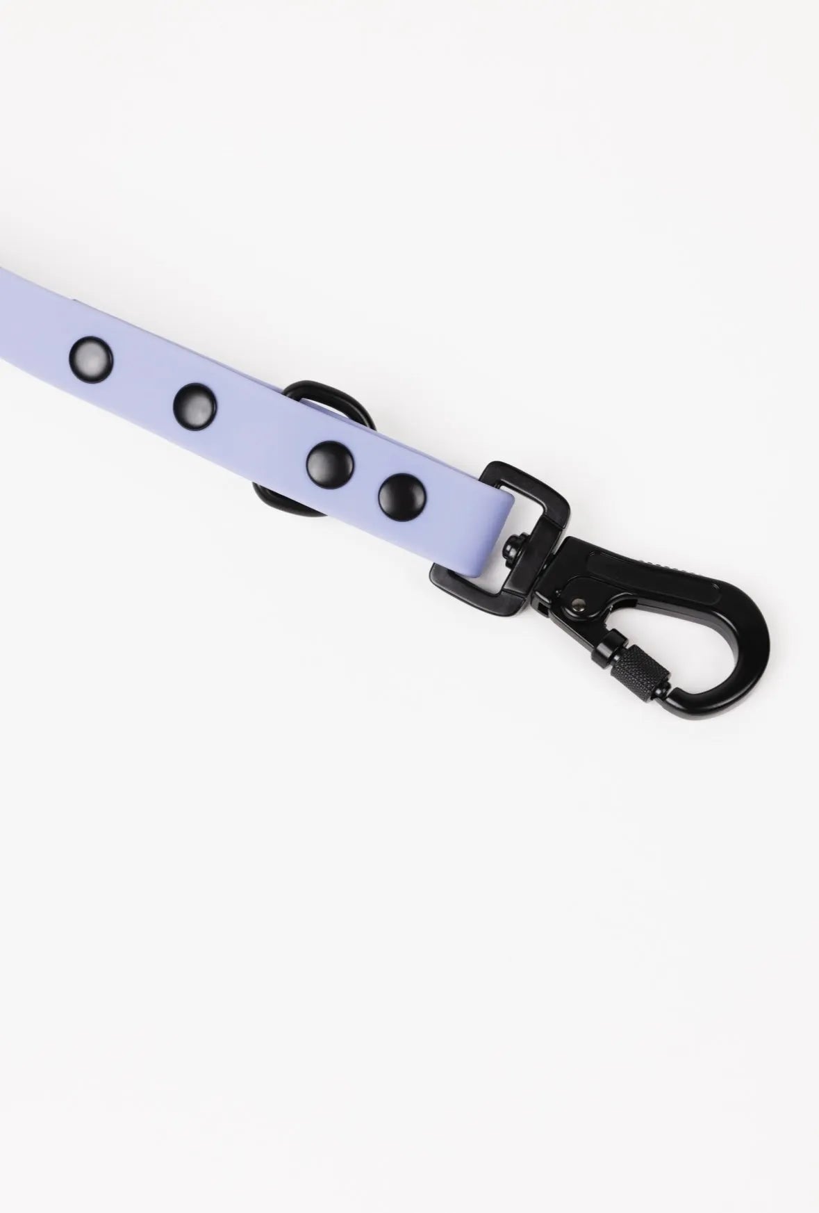 Lavender purple adjustable leash by The Modern Dog Company, available in standard size for stylish dog walks.