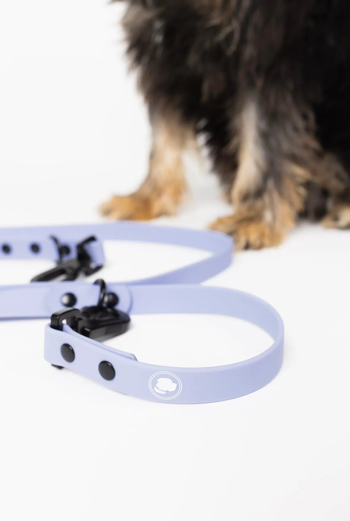 Lavender purple adjustable leash by The Modern Dog Company, available in standard size for stylish dog walks.