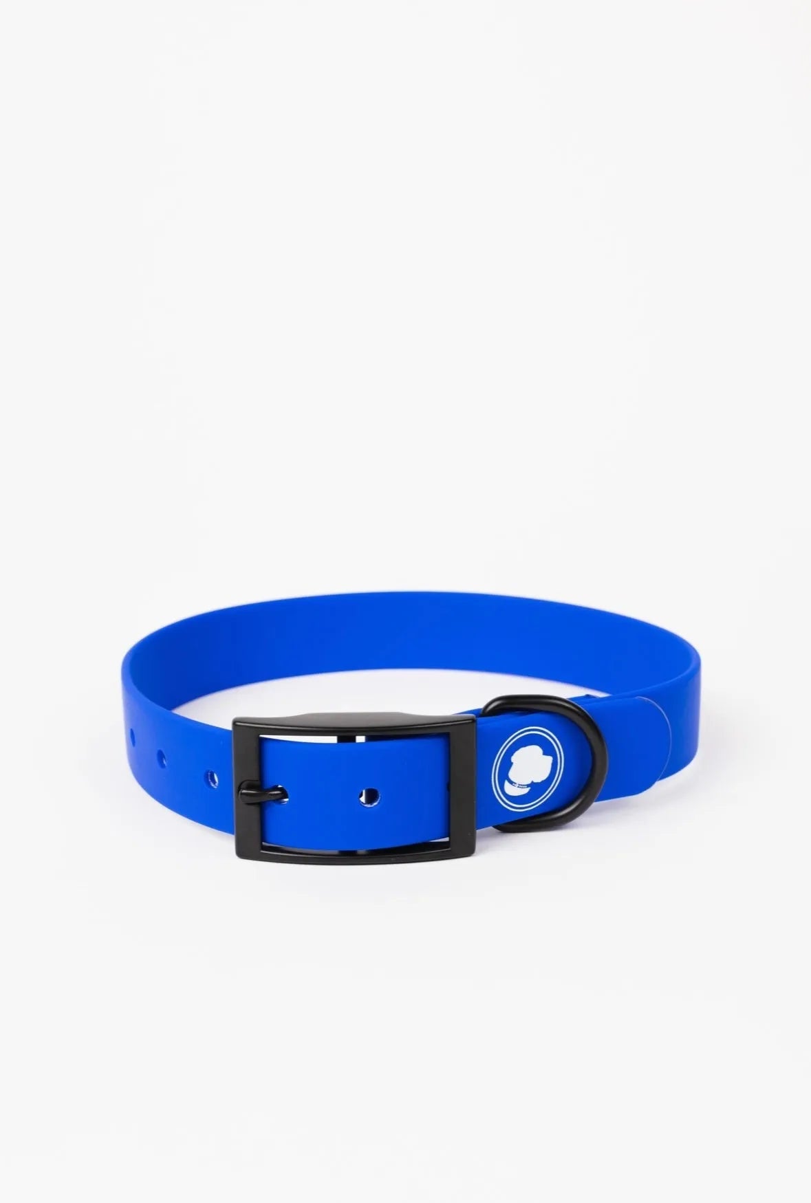 Royal Blue Collar by The Modern Dog Company, available in small, medium, and large sizes, perfect for stylish dogs.