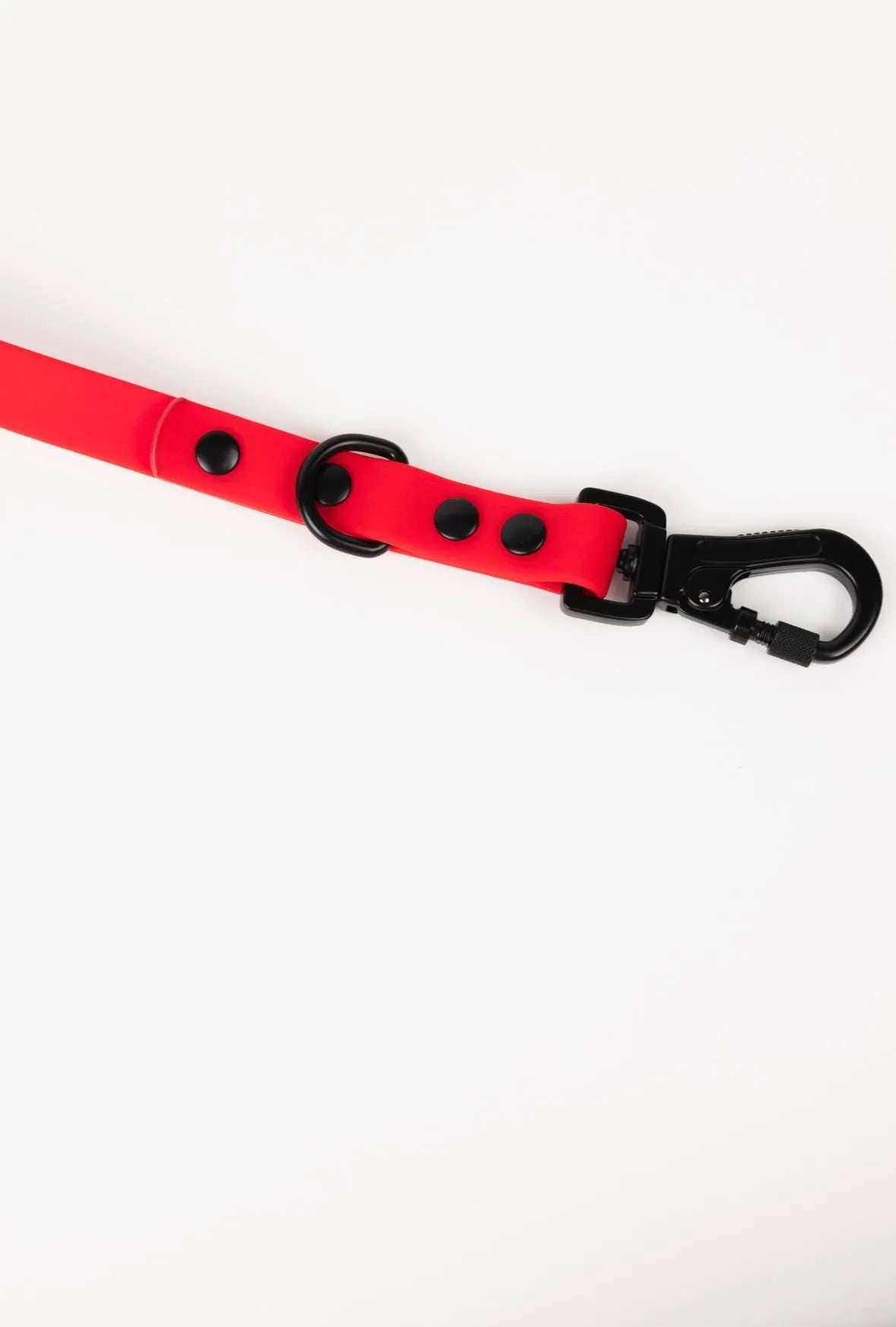 Ruby Red Adjustable Leash by The Modern Dog Company, available in Standard size for $29.99, perfect for stylish dog walks.