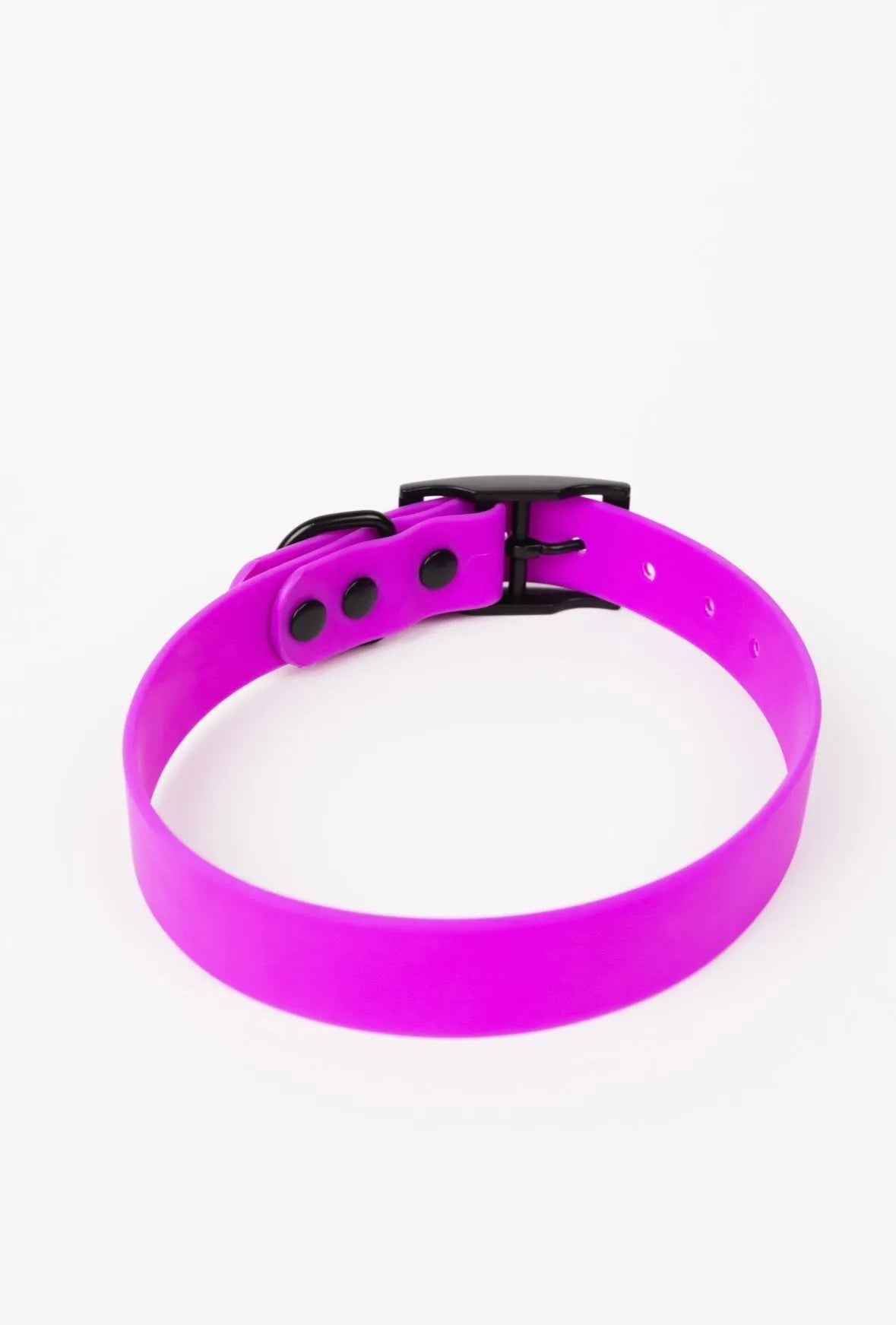 Electric fuchsia dog collar by The Modern Dog Company, available in small, medium, and large sizes. Perfect for stylish pets.