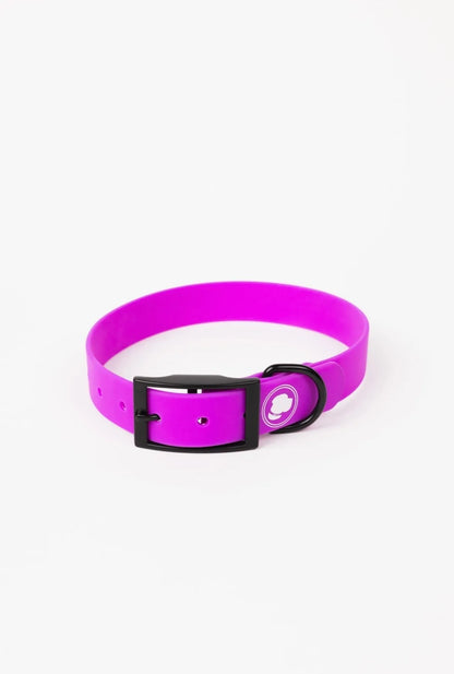The Modern Dog Company Store - The Modern Dog Company - Electric Fuchsia Collar (Weather + Odor Resistant)