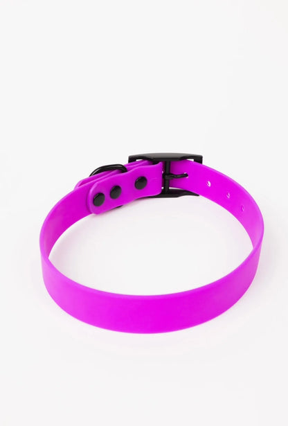 The Modern Dog Company Store - The Modern Dog Company - Electric Fuchsia Collar (Weather + Odor Resistant)