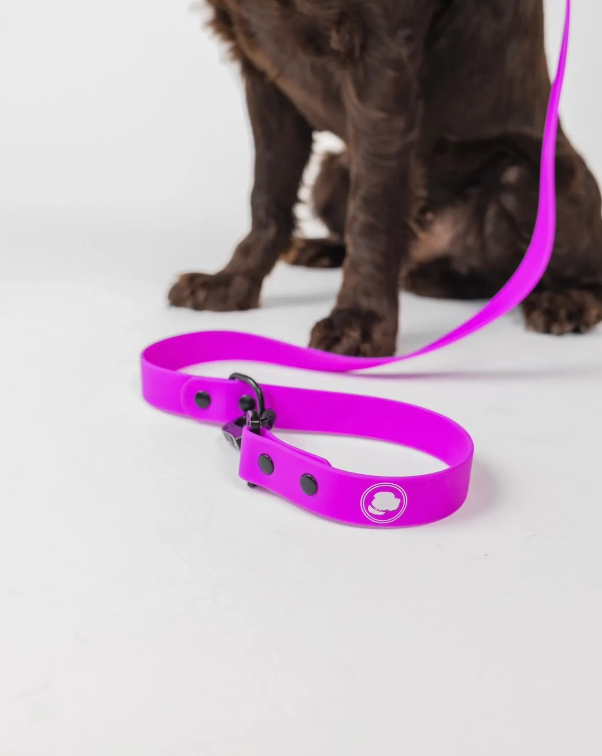 The Modern Dog Company Store - The Modern Dog Company - Electric Fuchsia Leash (Weather + Odor - Dog Leashes