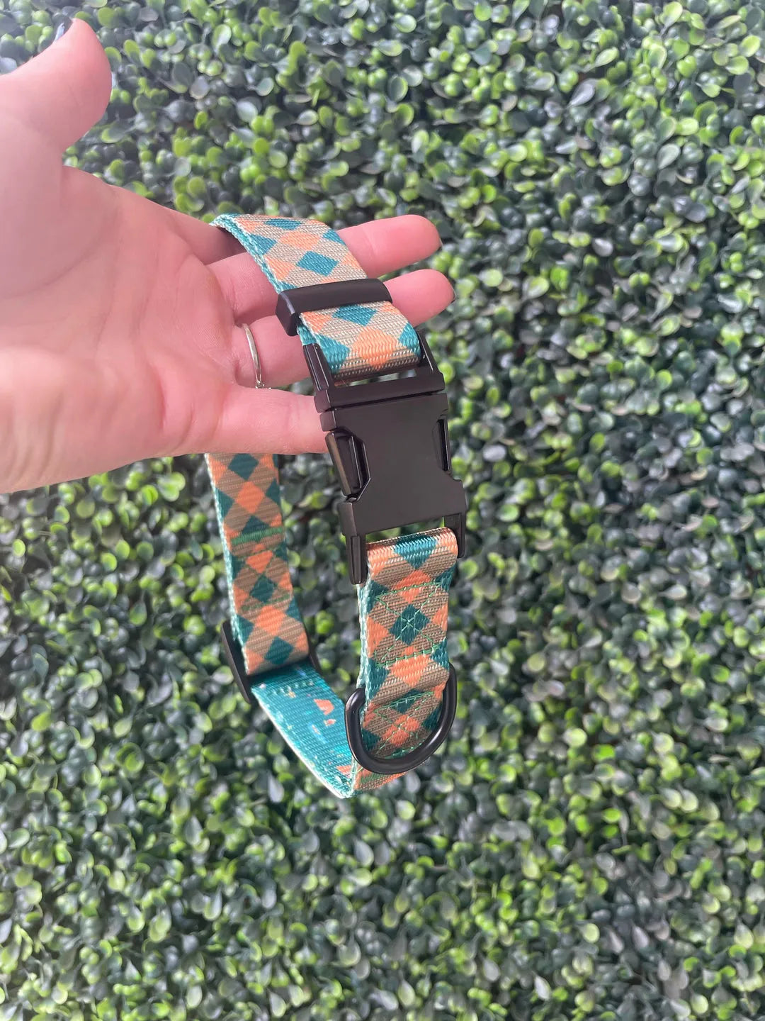 Plaid Camping Collar by The Modern Dog Company in vibrant red and green, available in small, medium, and large sizes.