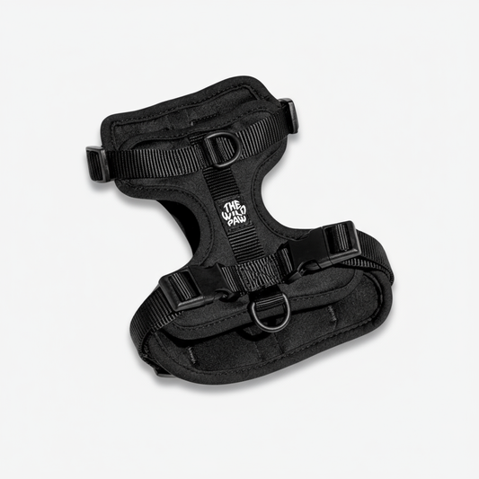 The Wild Paw adventure dog harness in black, designed for comfort and style during outdoor activities